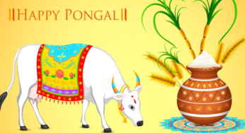 Sankranti Wishes in English: Fun-filled Sankranti Wishes for You