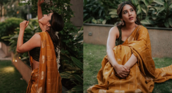Nabha Natesh Festive Clicks